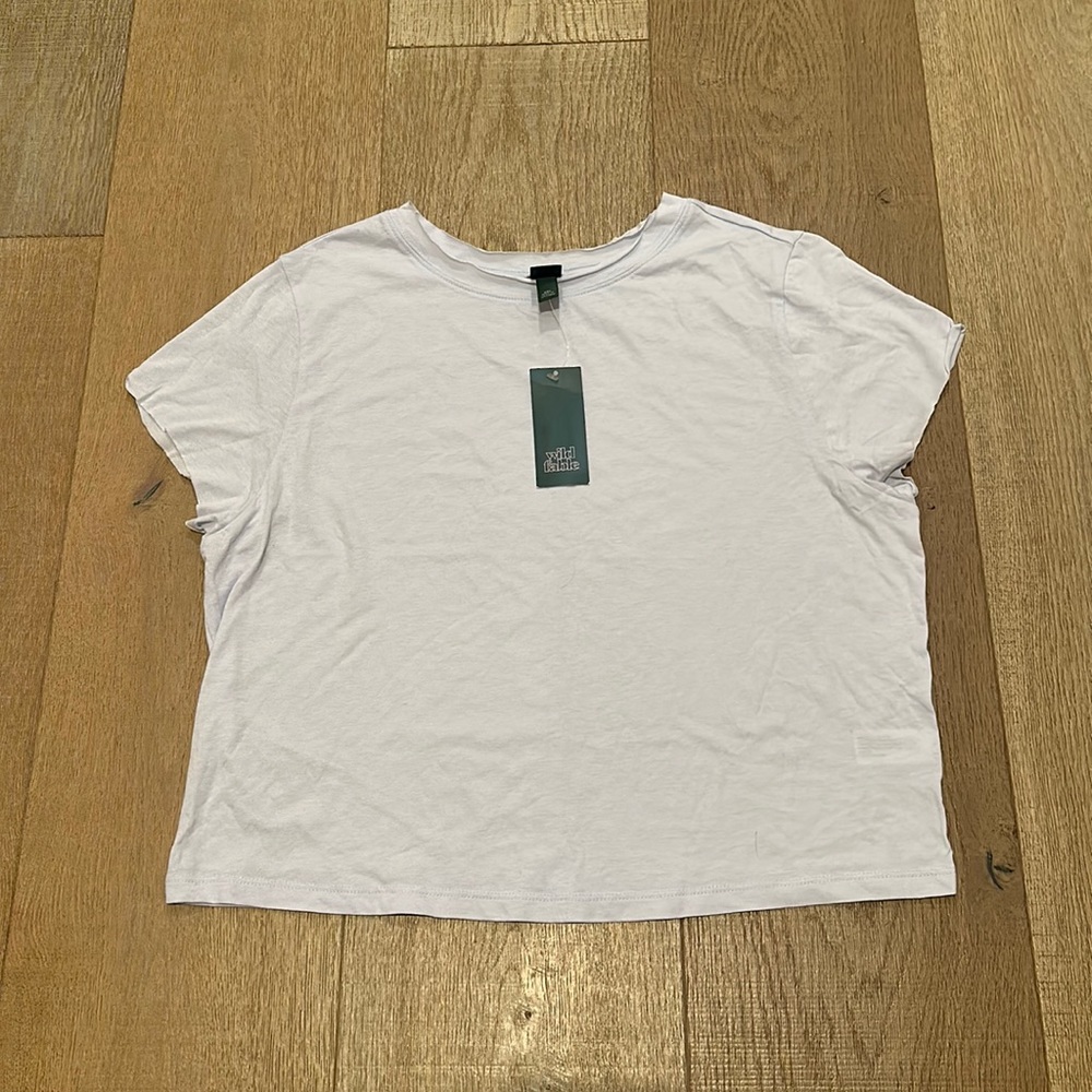 Wild Fable Crop Tee